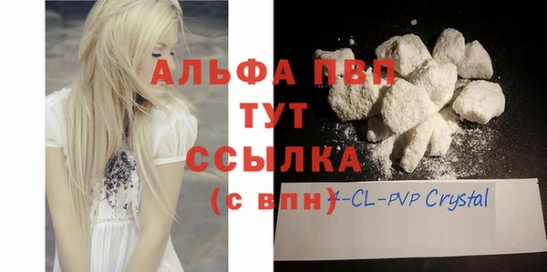 ПСИЛОЦИБИНОВЫЕ ГРИБЫ Белокуриха