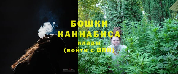 ПСИЛОЦИБИНОВЫЕ ГРИБЫ Балабаново