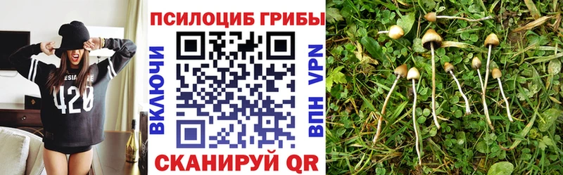 Купить закладки  Краснозаводск  Псилоцибиновые грибы Psilocybe 