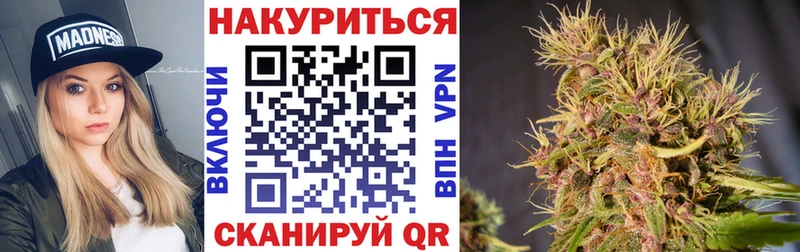 Купить где  Краснозаводск  Бошки марихуана сатива 